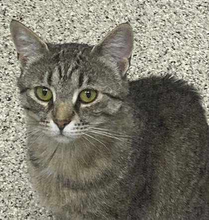 Tempy bonded to Angela