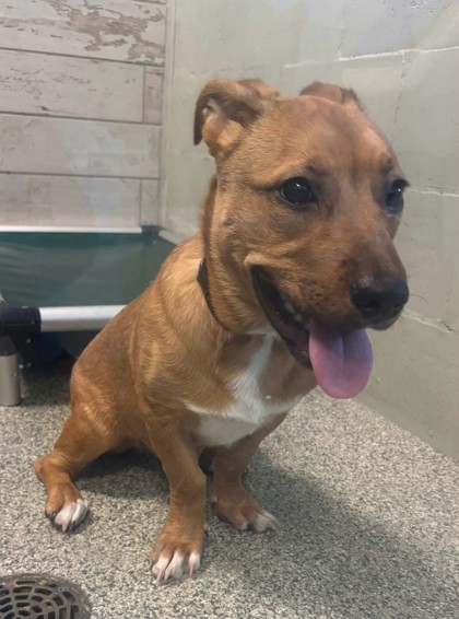 Jax fka Cinnamon Sprout