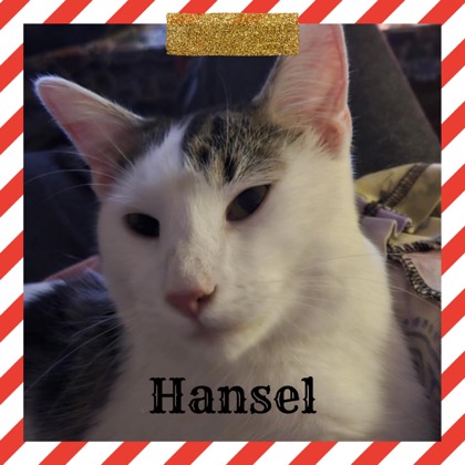 Hansel