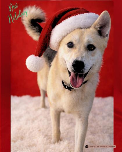 Doc Holiday bonded to Wyatt Earp