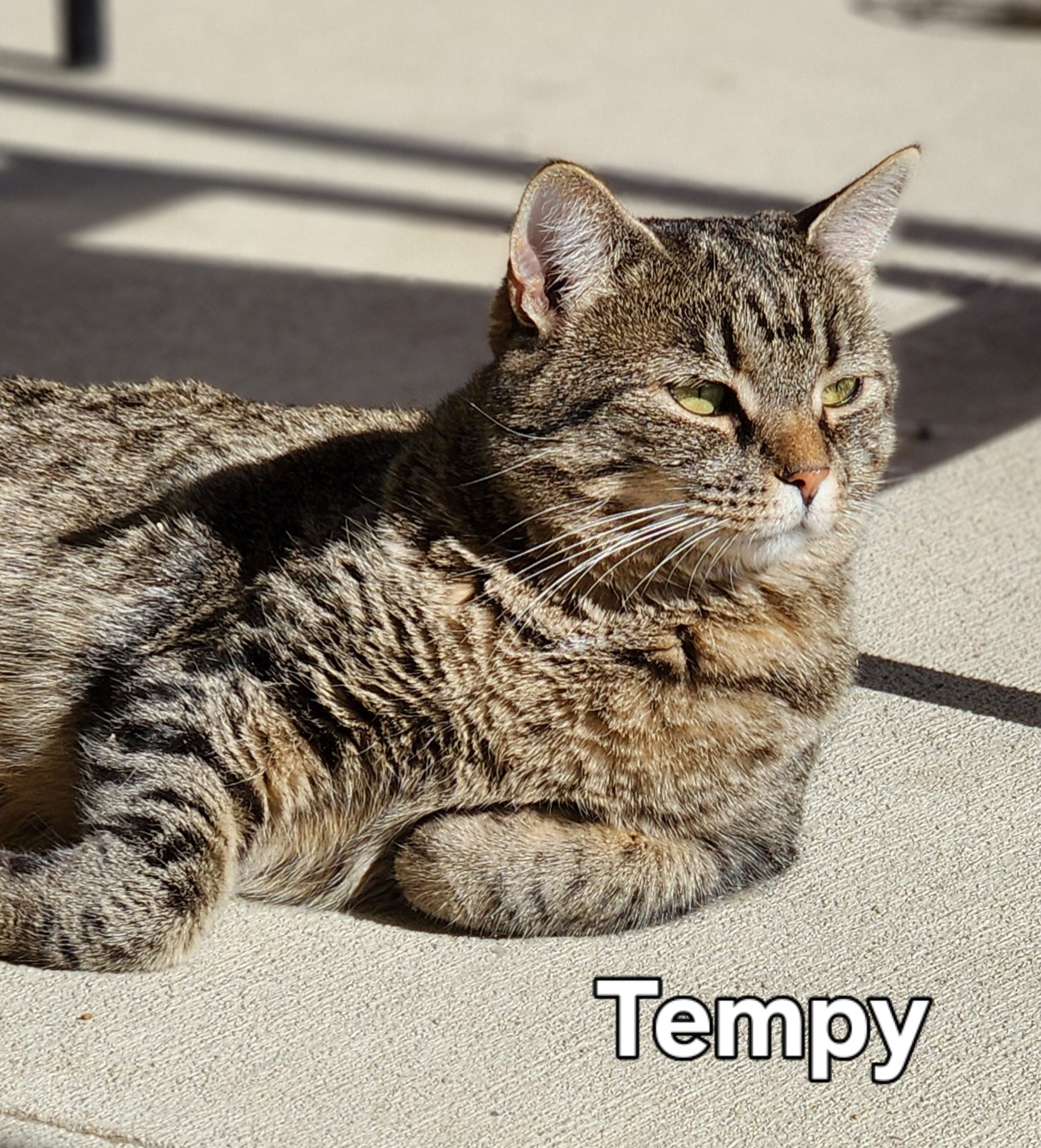 Tempy bonded to Angela