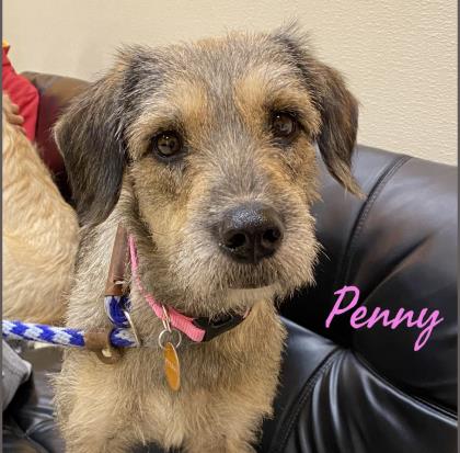 Penny bonded to Ellie Mae