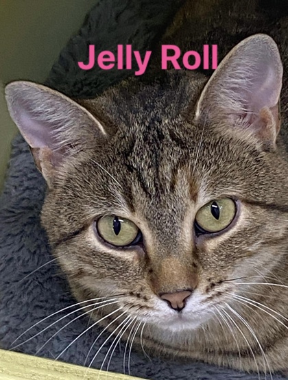 Jelly Roll bonded to Sushi