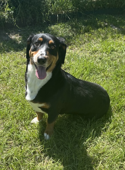 Bruce (in Foster)