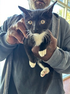 Tammy (Petsmart S.Claiborne)