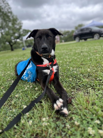 Jax (Underdog)