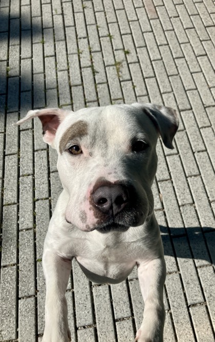 Tyson