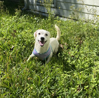 Baylee