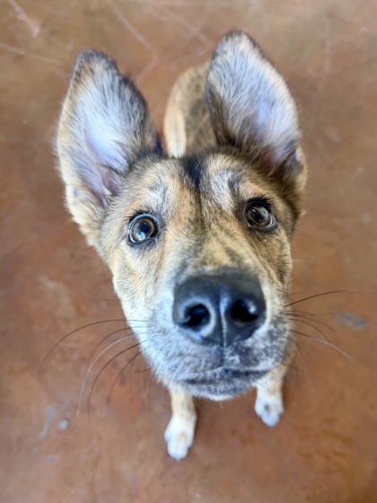Fiona