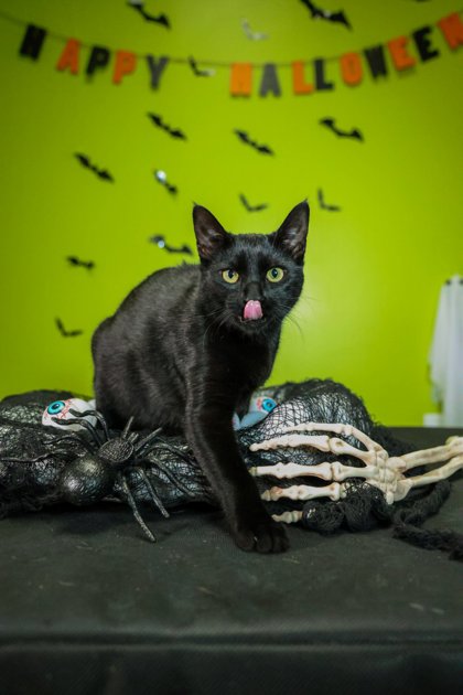 Schrodinger