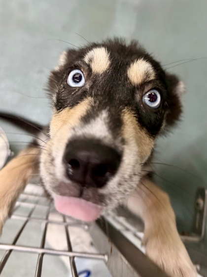 Thirty Eight Eighty-Eight