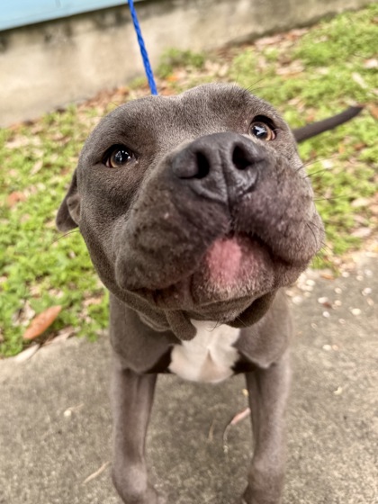 Deuce