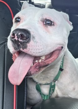 Carl (in Foster)