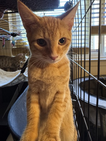 Chris (PetSmart Claiborne)