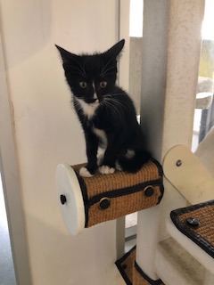 Garth Brooks (PetSmart Manhattan)