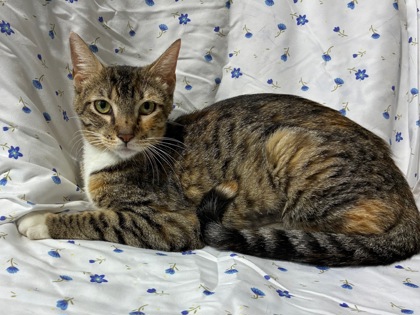 Rosie