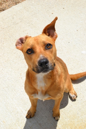 Gigi (in Foster)
