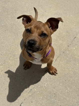 Roscoe