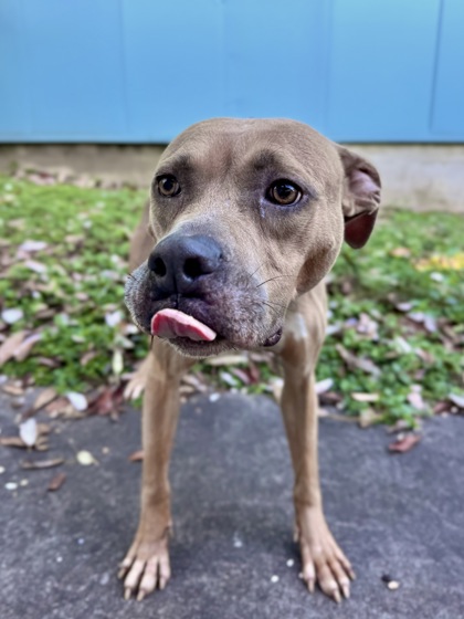 Karissa Kirsch (Underdog)