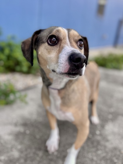 Zeus (Formerly Teddy NLOL)