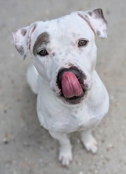 Tyson