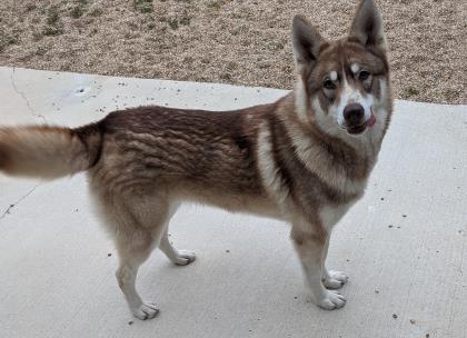 Diego