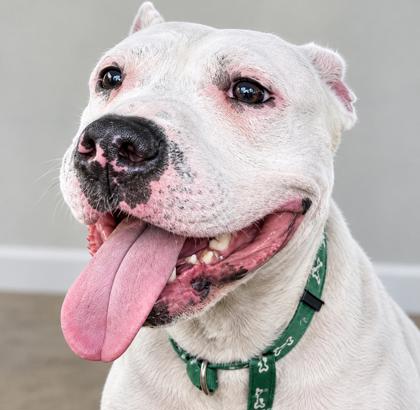 Carl (in Foster)