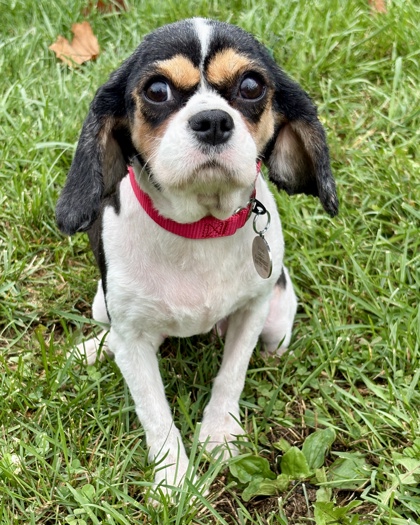 Lulu july 1.jpg