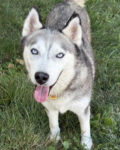 Lulu july 1.jpg