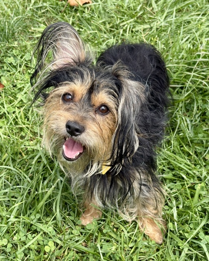 Lulu july 1.jpg