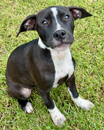 Lulu july 1.jpg