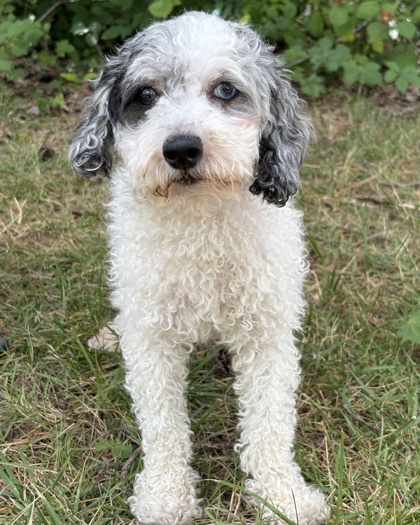 Lulu july 1.jpg