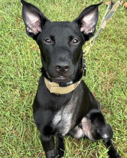 Lulu july 1.jpg