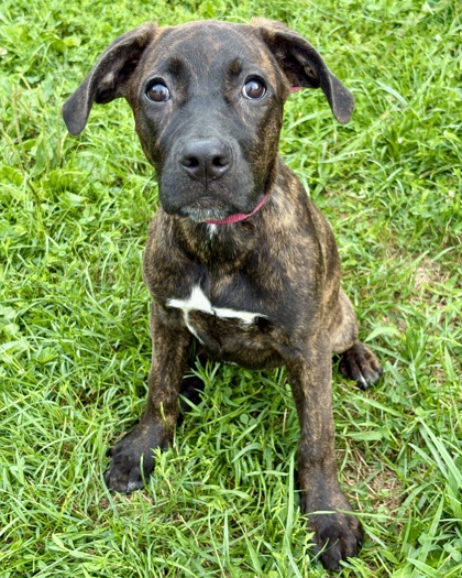 Lulu july 1.jpg