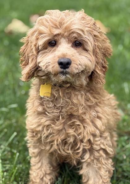 Lulu july 1.jpg