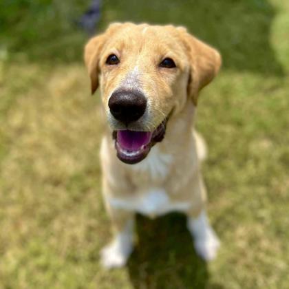 Millie Josette photo