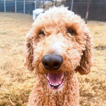 Richie (Boston) photo