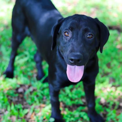 Bonnie photo