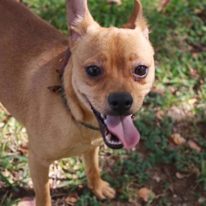 Buster photo