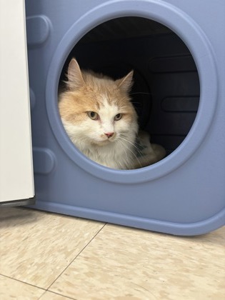 Bilbo photo