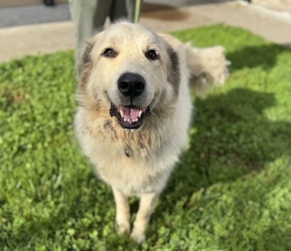 Pyr 1 Imports