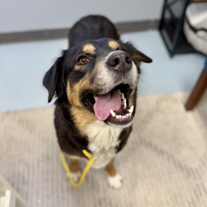 Okeechobee (Evanie Rose)2