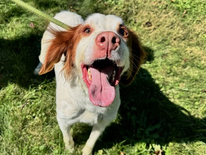 Bonnie