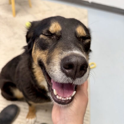 Okeechobee (Evanie Rose)3