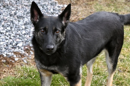 Mona Lisa Vito (Sophie)