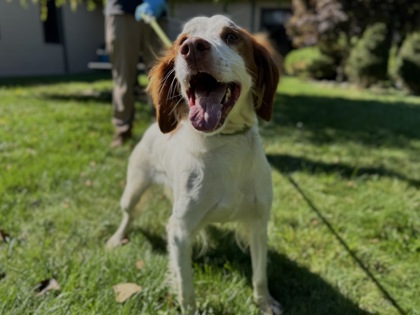 Bonnie3