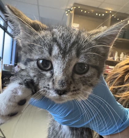 Salted Caramel Crunch