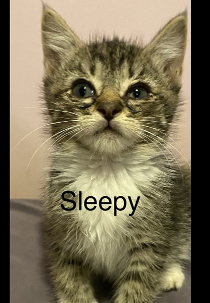 Sleepy