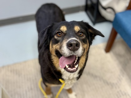 Okeechobee (Evanie Rose)