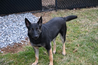 Mona Lisa Vito (Sophie)3